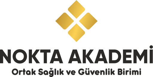 Nokta Akademi Logo